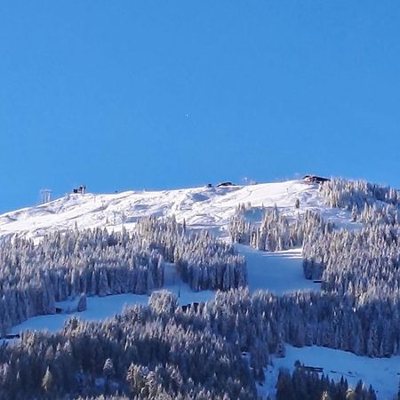 Haus Raimund " Klein Aber Fein " Διαμέρισμα Alpbach Εξωτερικό φωτογραφία