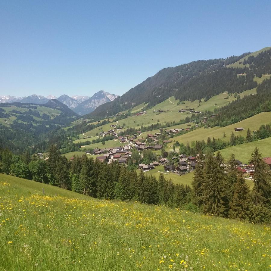 Haus Raimund " Klein Aber Fein " Διαμέρισμα Alpbach Εξωτερικό φωτογραφία