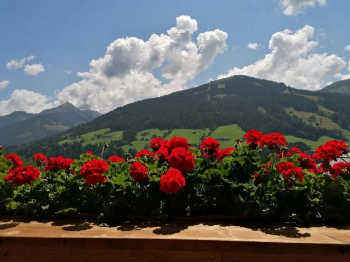 Haus Raimund " Klein Aber Fein " Διαμέρισμα Alpbach Εξωτερικό φωτογραφία