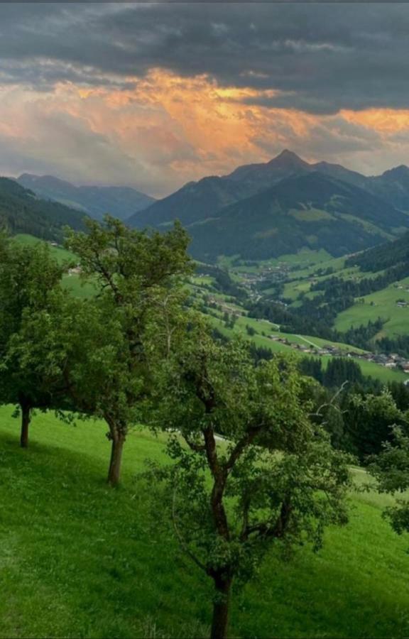 Haus Raimund " Klein Aber Fein " Διαμέρισμα Alpbach Εξωτερικό φωτογραφία