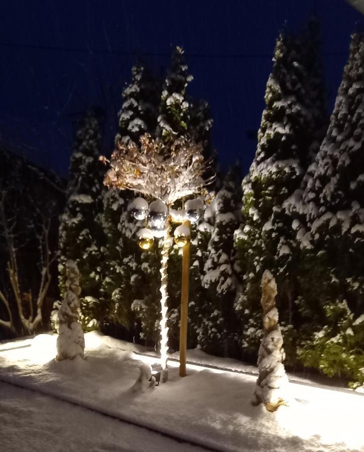 Haus Raimund " Klein Aber Fein " Διαμέρισμα Alpbach Εξωτερικό φωτογραφία