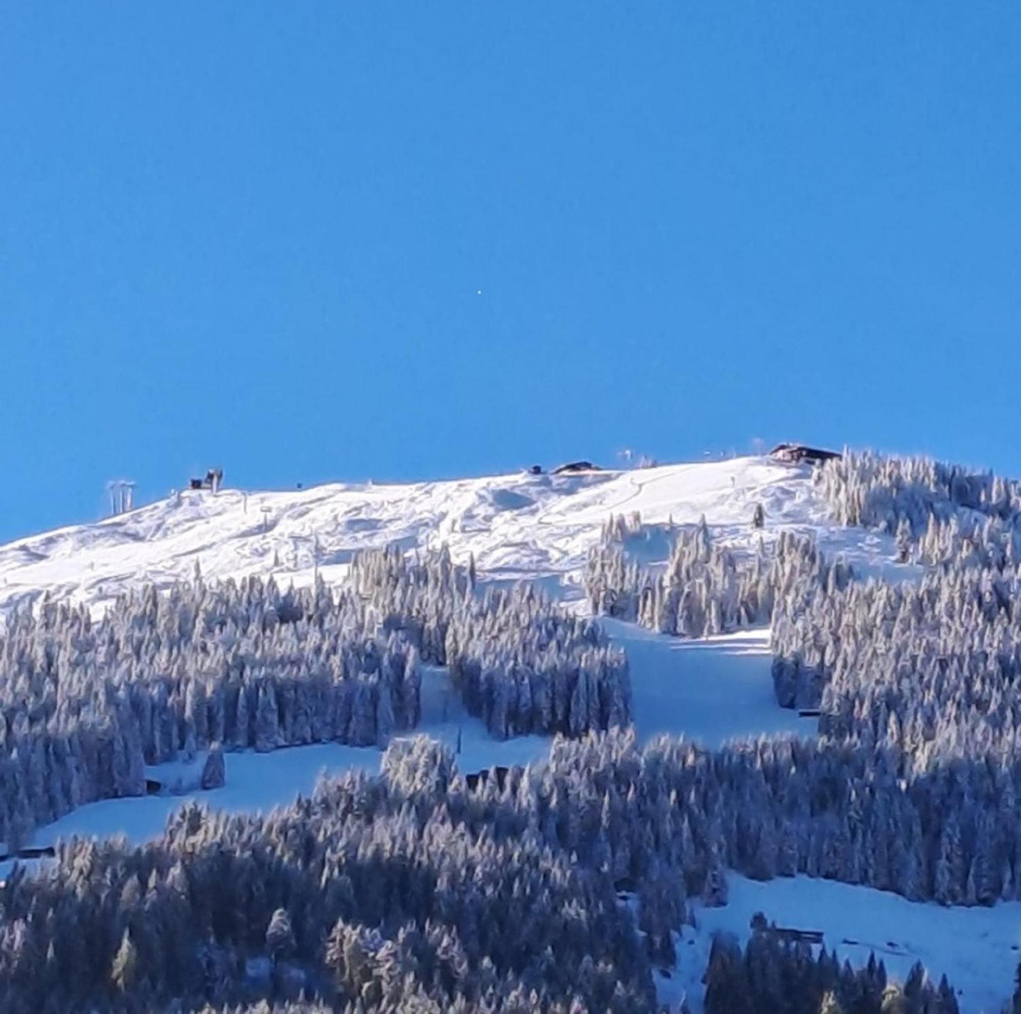 Haus Raimund " Klein Aber Fein " Διαμέρισμα Alpbach Εξωτερικό φωτογραφία
