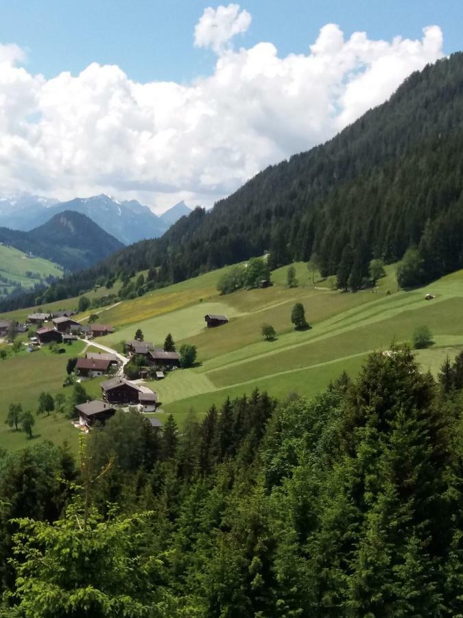 Haus Raimund " Klein Aber Fein " Διαμέρισμα Alpbach Εξωτερικό φωτογραφία