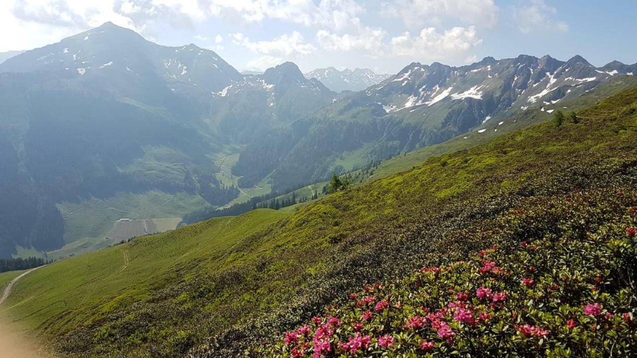 Haus Raimund " Klein Aber Fein " Διαμέρισμα Alpbach Εξωτερικό φωτογραφία